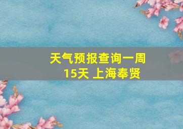 天气预报查询一周15天 上海奉贤